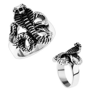 Mohutný ocelový prsten, lesklá ramena, patinovaný had - kobra - Velikost: 72