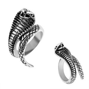 Ocelový prsten stříbrné barvy, vypouklá patinovaná kobra - Velikost: 61