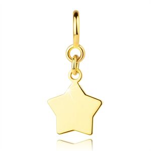 Přívěsek na náramek ze zlata 375 - plochá hvězda, pérový kroužek