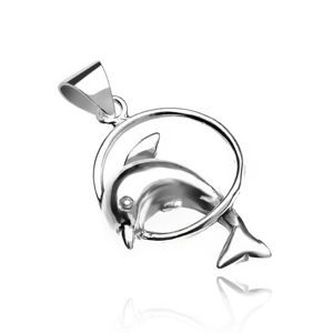 Přívěsek ze stříbra 925 - delfín skákající skrz kruh